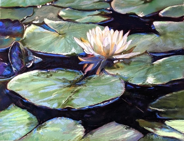 water lily