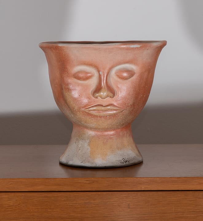 Face Pot Planter by Shana Brautigam