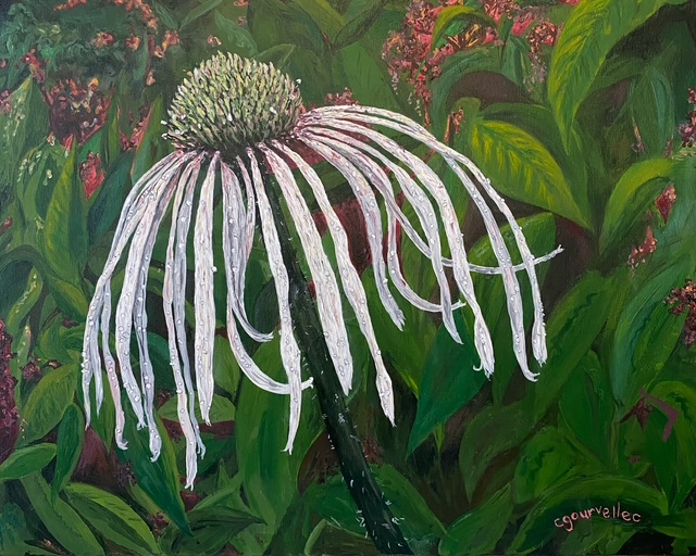 Carol Gourvellec