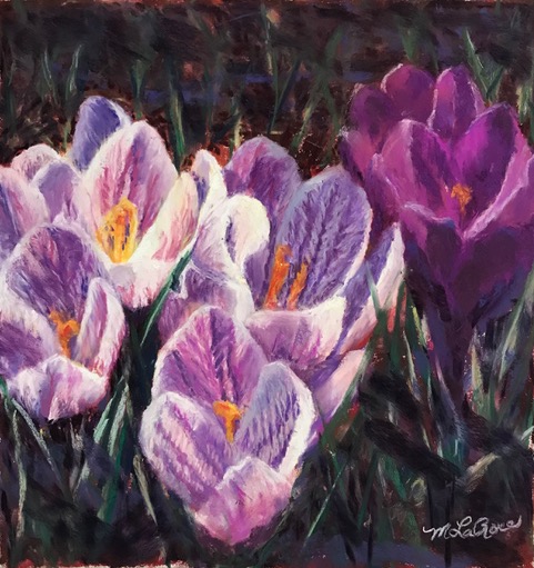 MadeleineLaroseCrocus Too