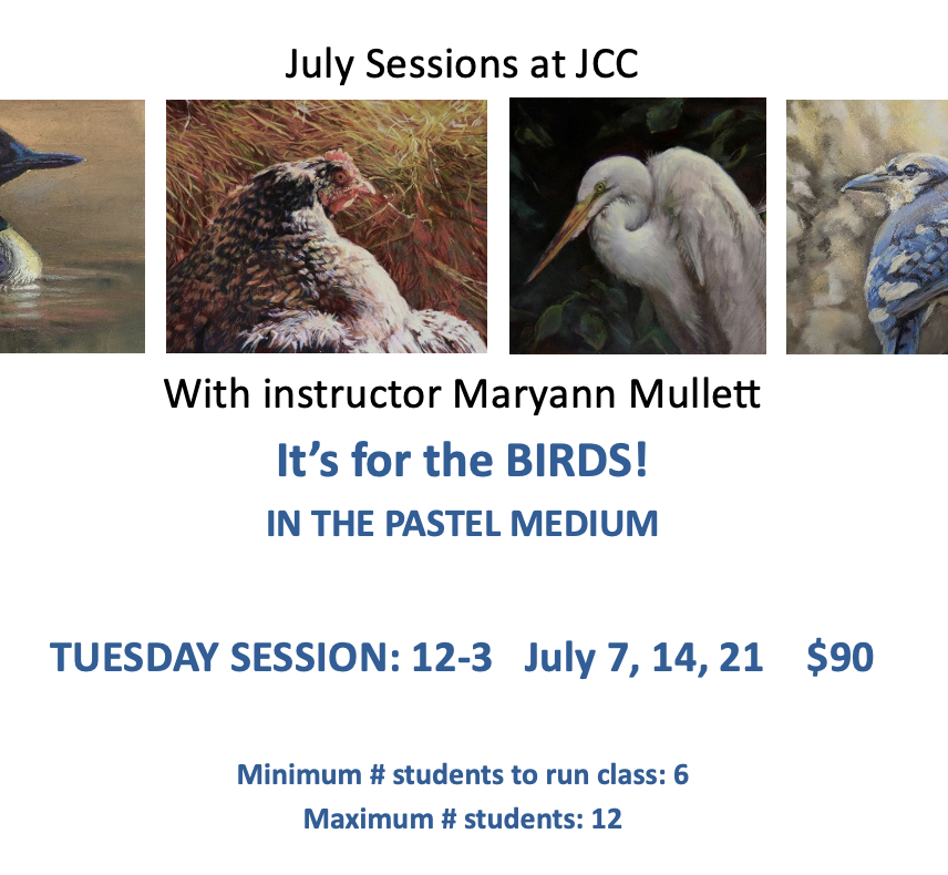 It’s for the Birds! Pastel Class with Maryann Mullett