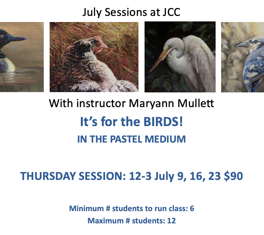 It’s for the Birds! Pastel Class with Maryann Mullett